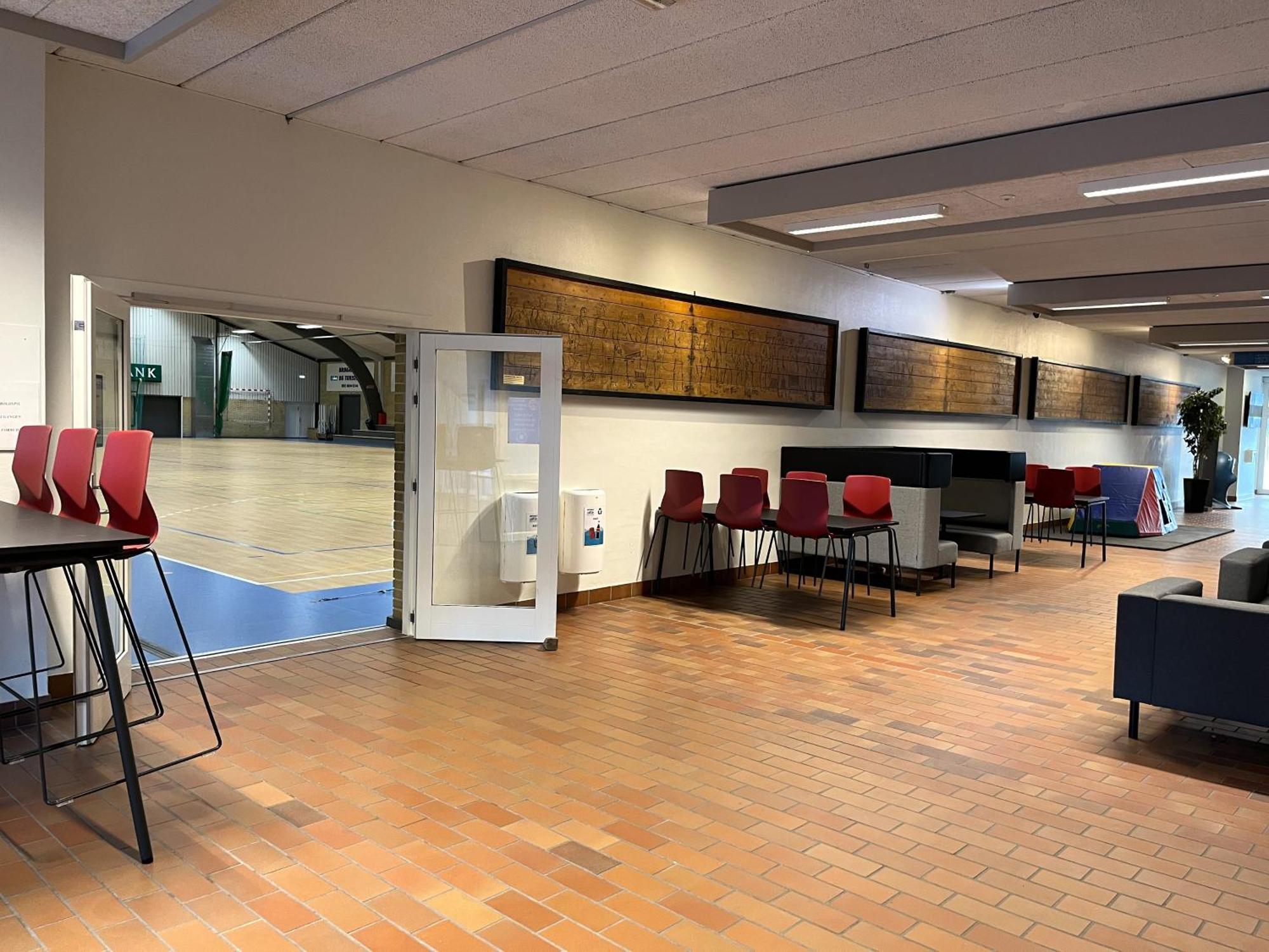 Hirtshals Idraetscenter - Vandrehjem - Hostel Εξωτερικό φωτογραφία